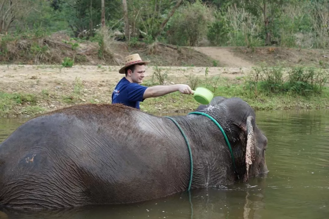 Chiang Mai Elephant Sanctuary and Sticky Waterfall Tour – Full Day