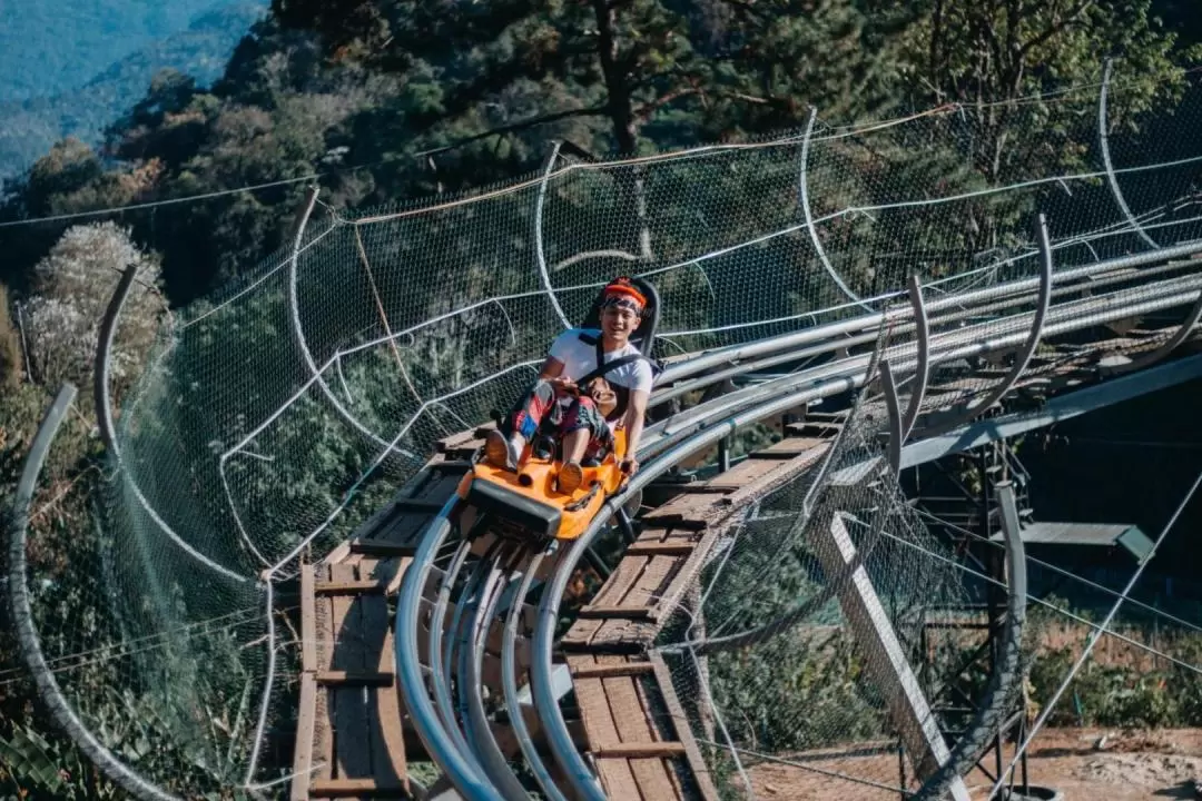 ジャングルコースター・ジップライン体験（チェンマイ / Pong Yaeng Jungle Coaster & Zipline提供）