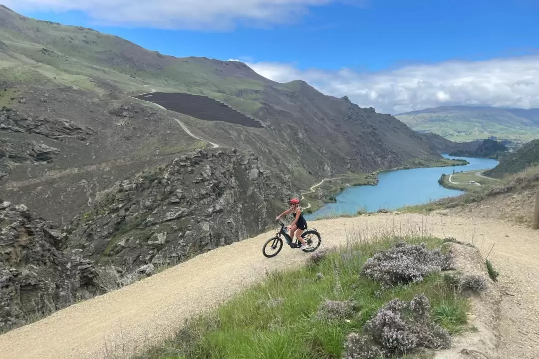 ダンスタン湖 サイクリング体験（クロムウェル発）