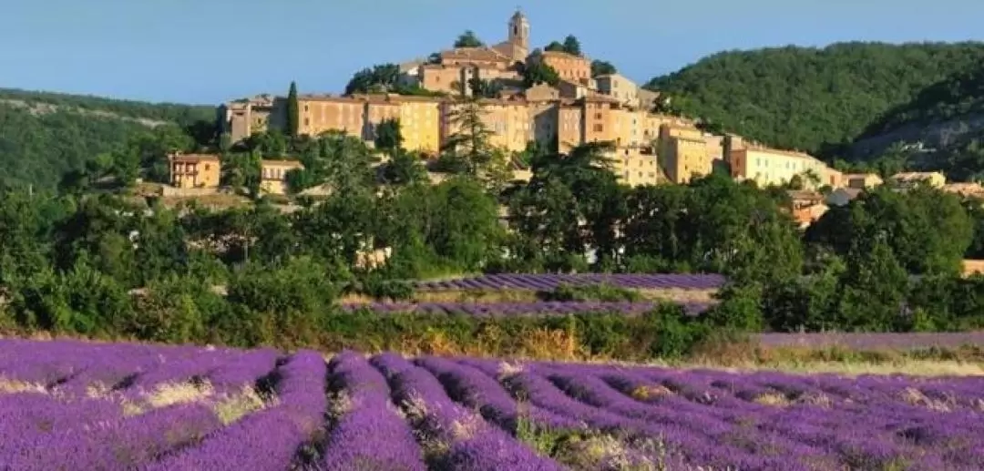 Lavender Full Day Tour from Avignon