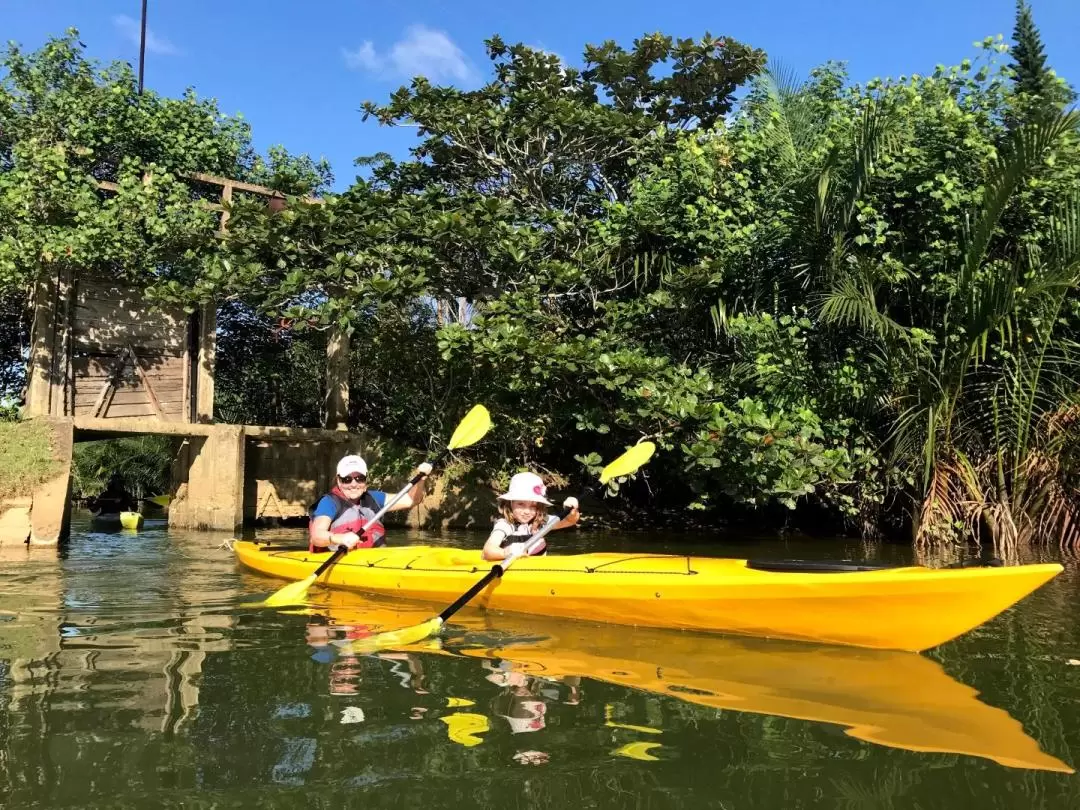 Coco Palm Forest to a Craft Village Tour with Kayaking Experience in Hoi An