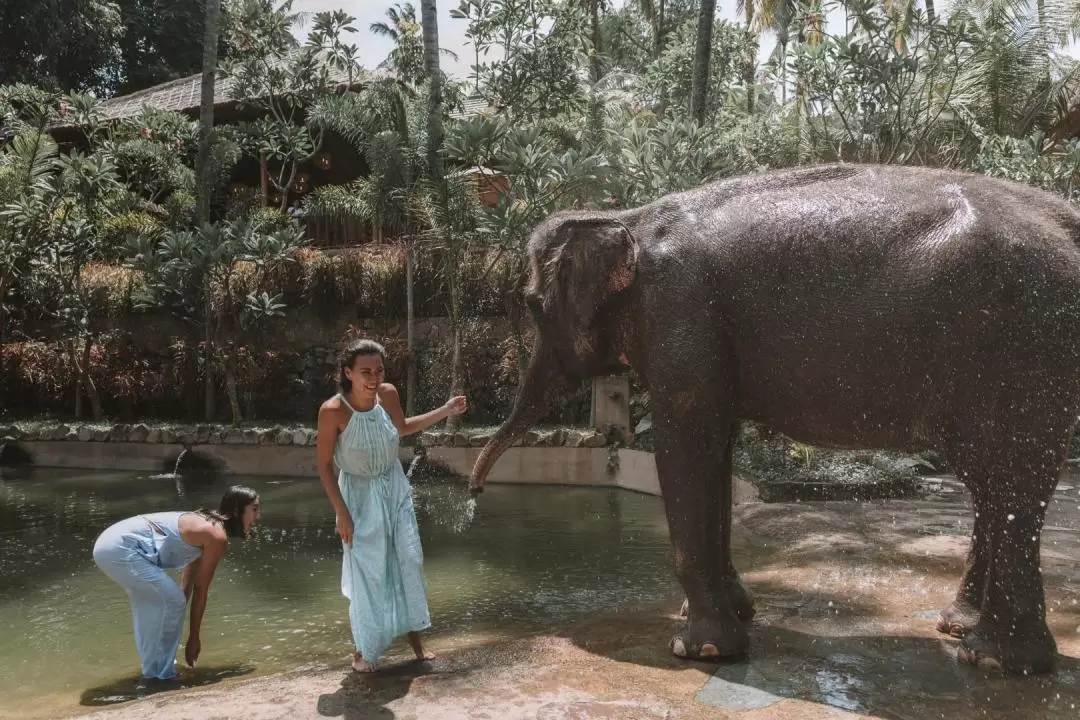 ロンボクワイルドライフパーク 入園チケット（外国人旅行者対象）