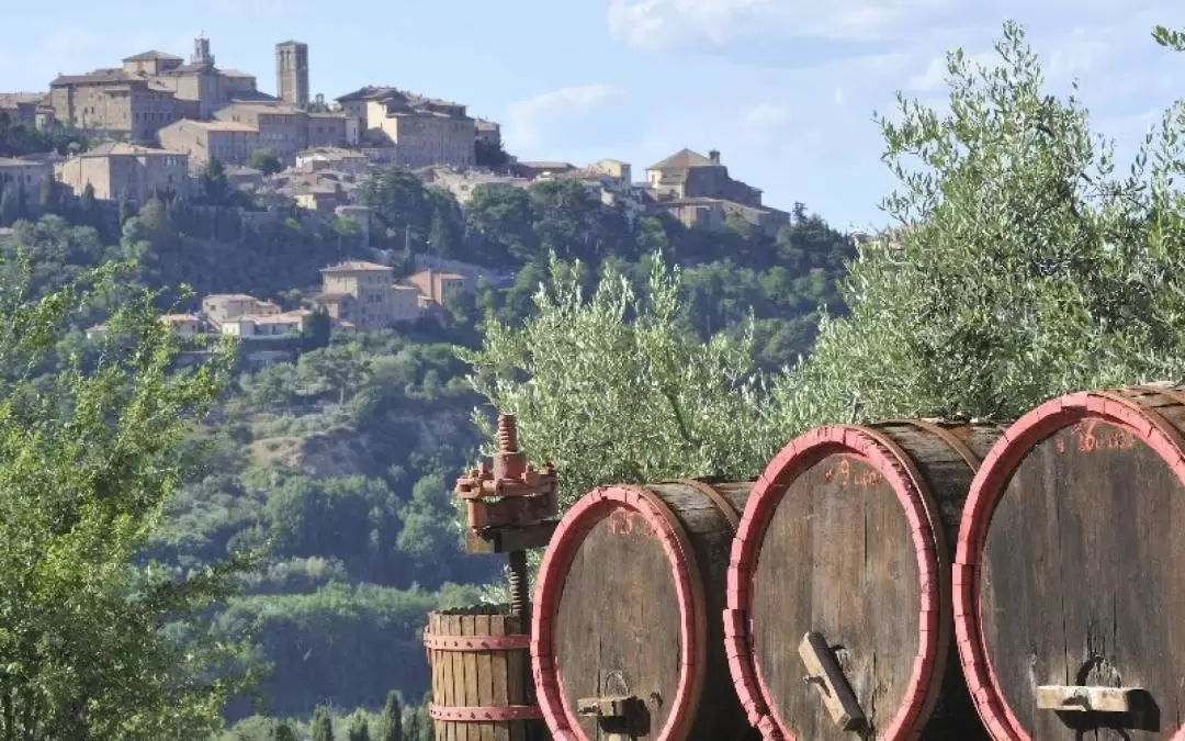 San Gimignano, Chianti and Montalcino Day Tour from Siena