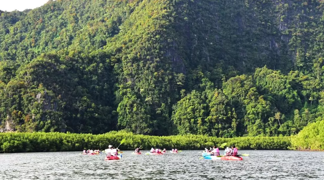 Krabi Mangrove Kayak Tour