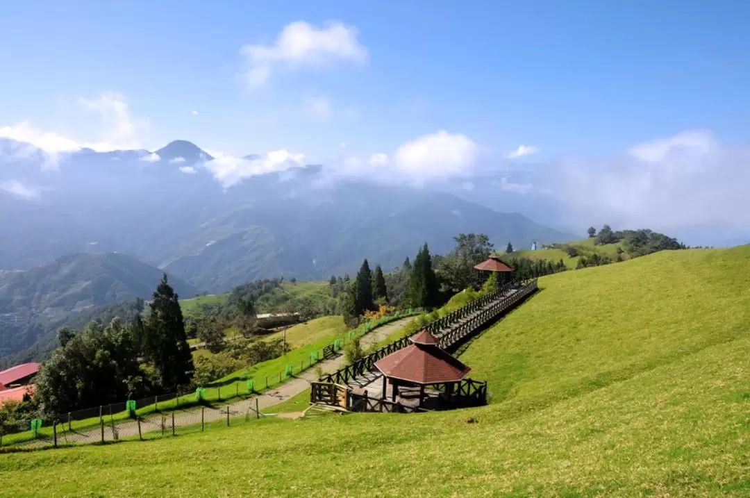 Private Car charter for Qingjing Farm - Departure from Taiuchung