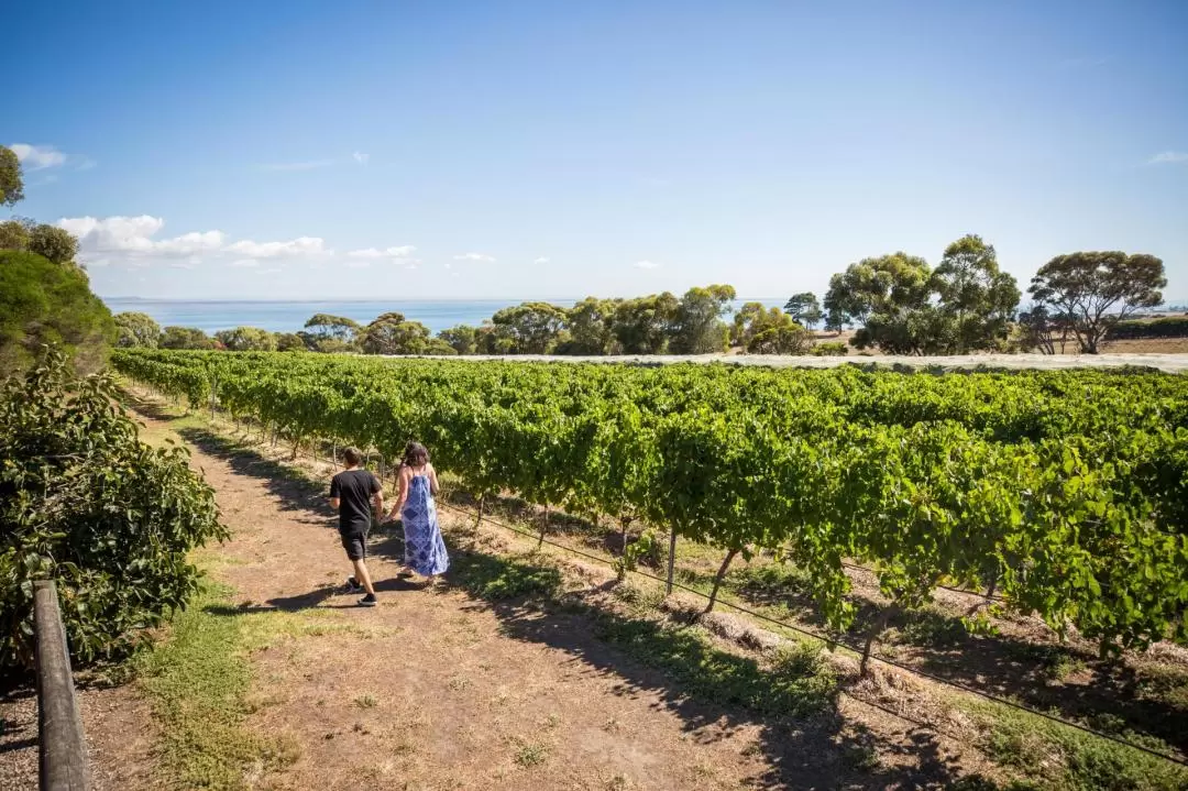 Bellarine Peninsula Hop-On-Hop-Off Bus - Blue Route in Melbourne