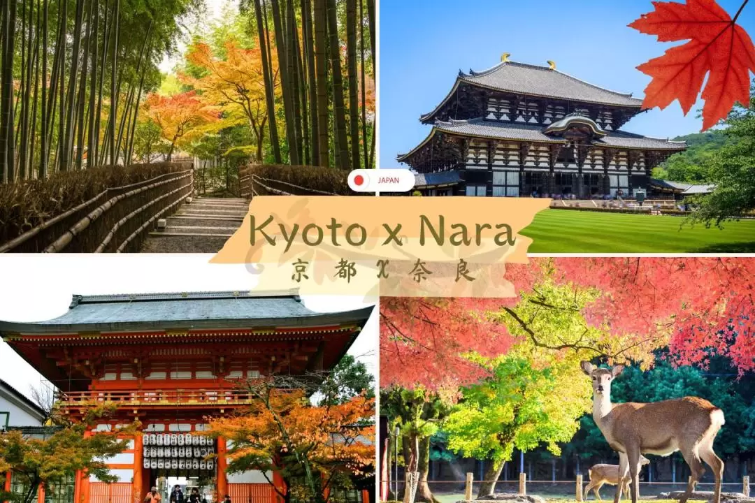 Arashiyama, Nara & Yasaka Shrine & Hanakomiji OneDay Tour from Osaka