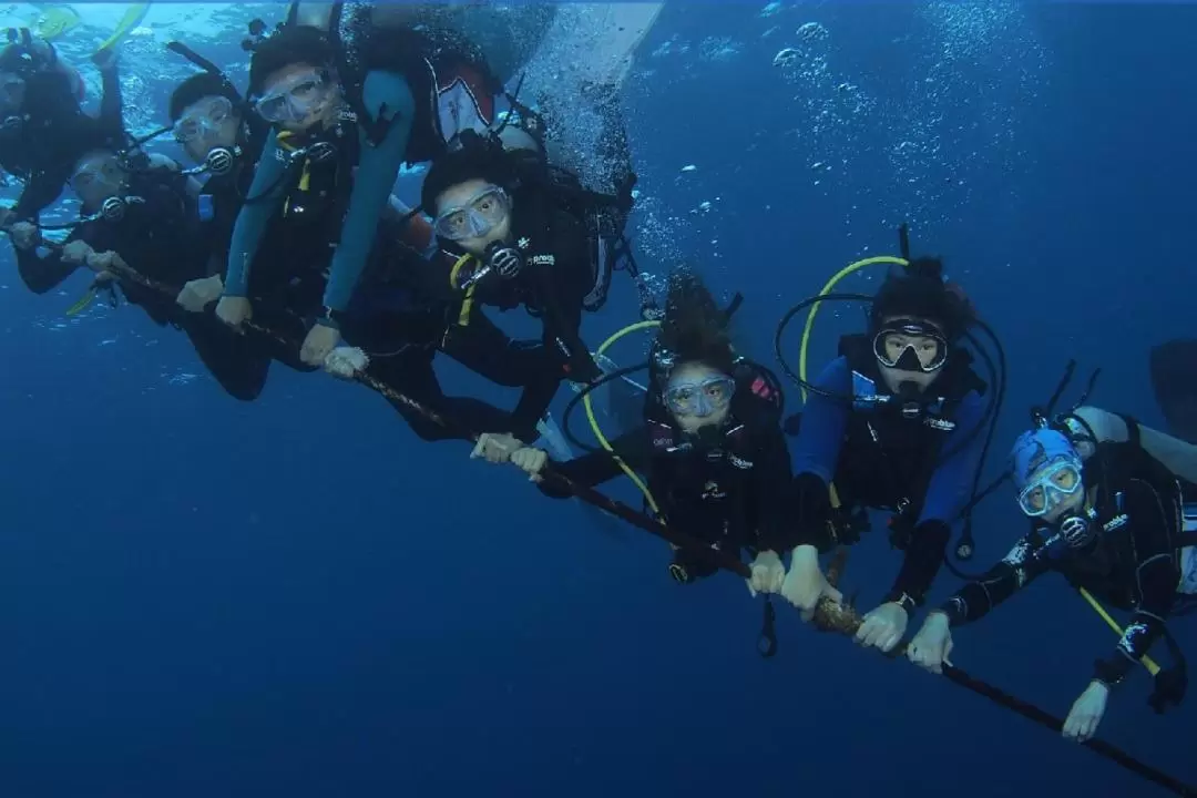 Try Diving, Diving Experience, OW/AOW/Rescue/Dive Master/IDC Diver Course