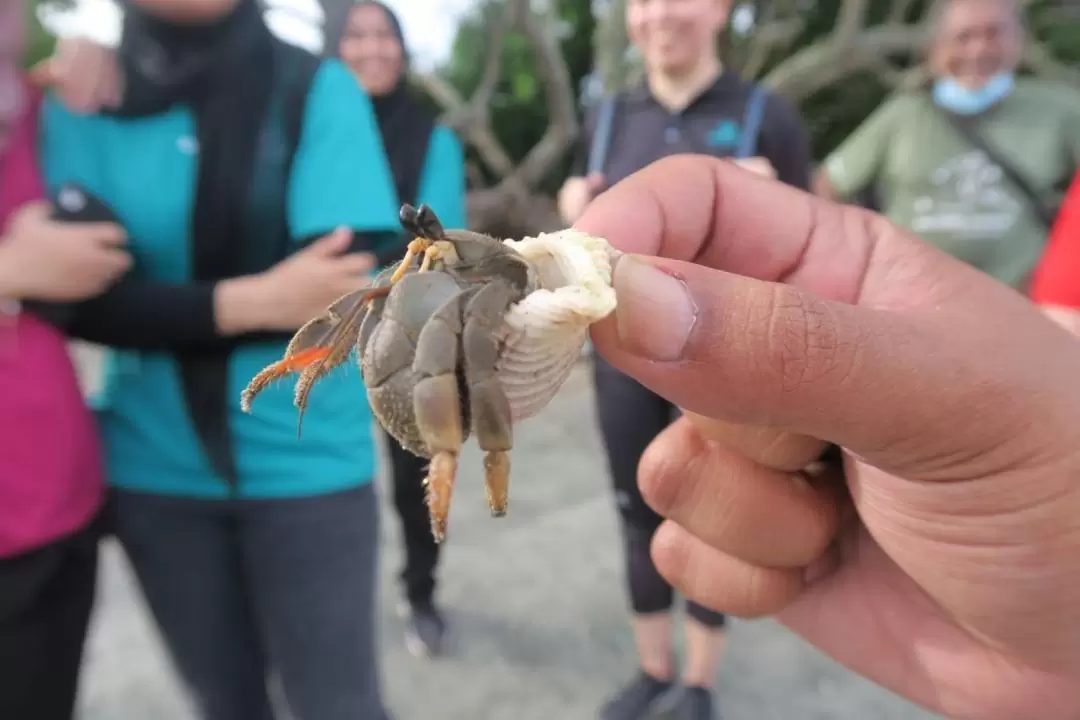 Desaru Beach and Tide Pool Walking Tour 