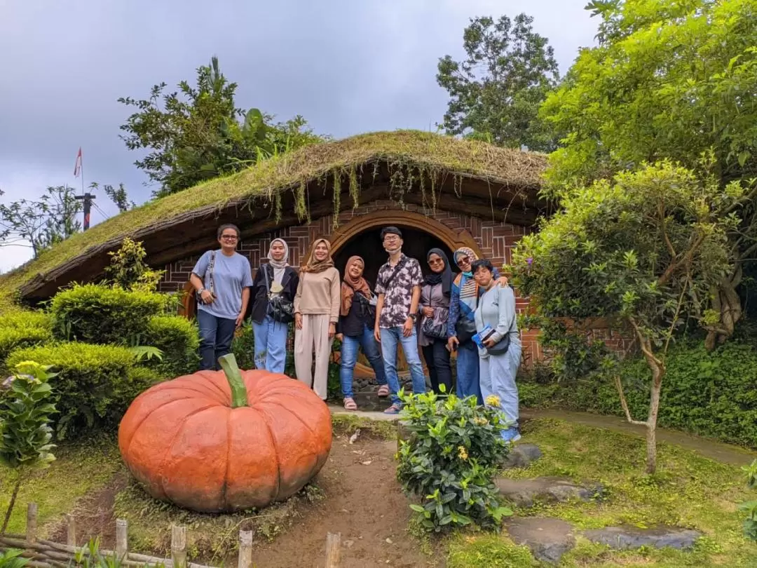 1泊2日 ボロブドゥール寺院・チャンディレホ村・水の離宮タマンサリ 日帰りツアー（ジョグジャカルタ発）