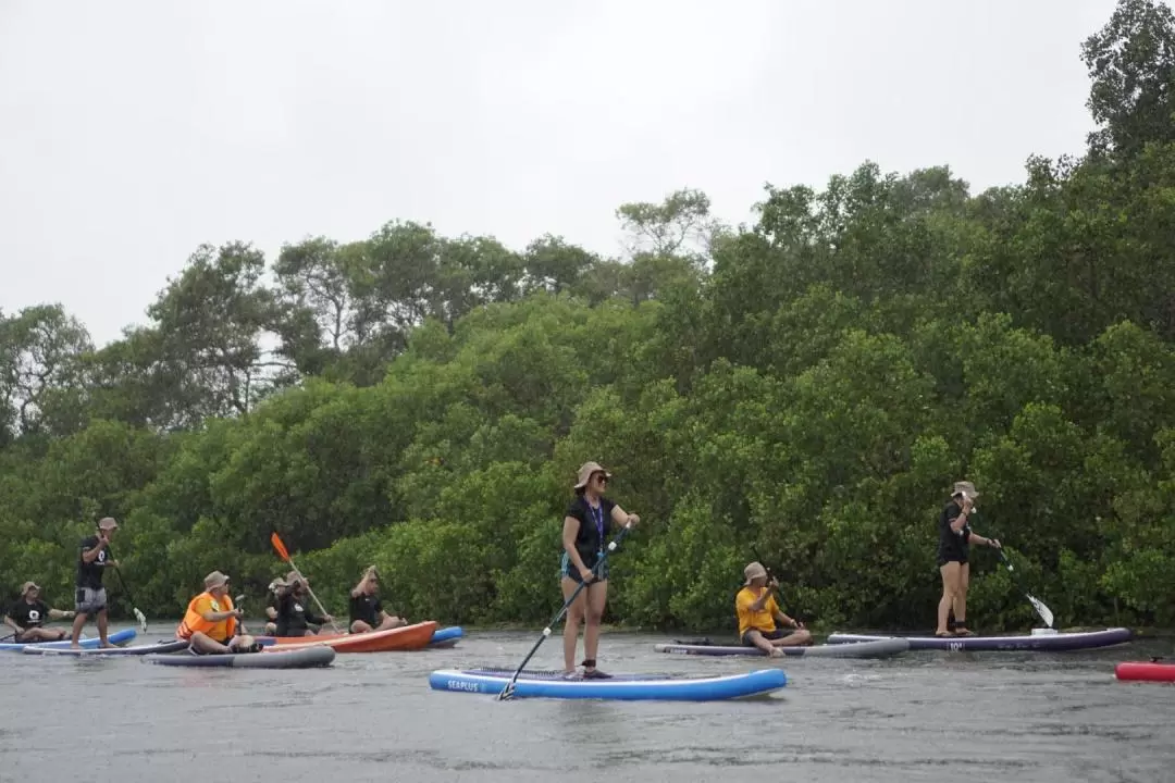 Stand Up Paddle Board Tour in Bali