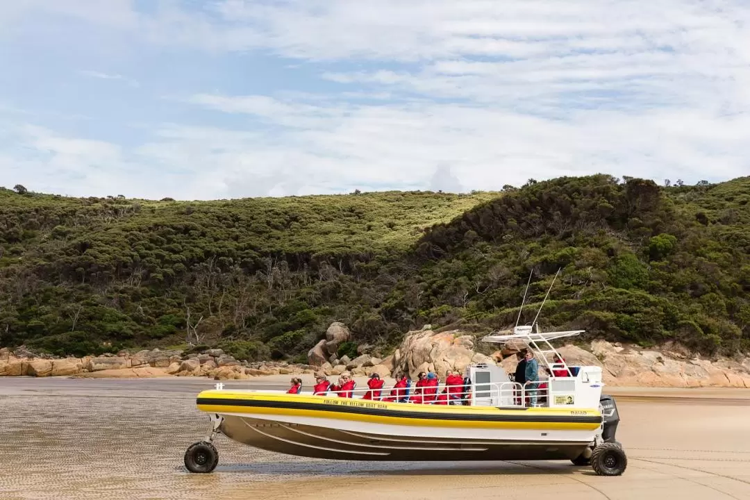 Wilsons Promontory Wildlife Cruise 