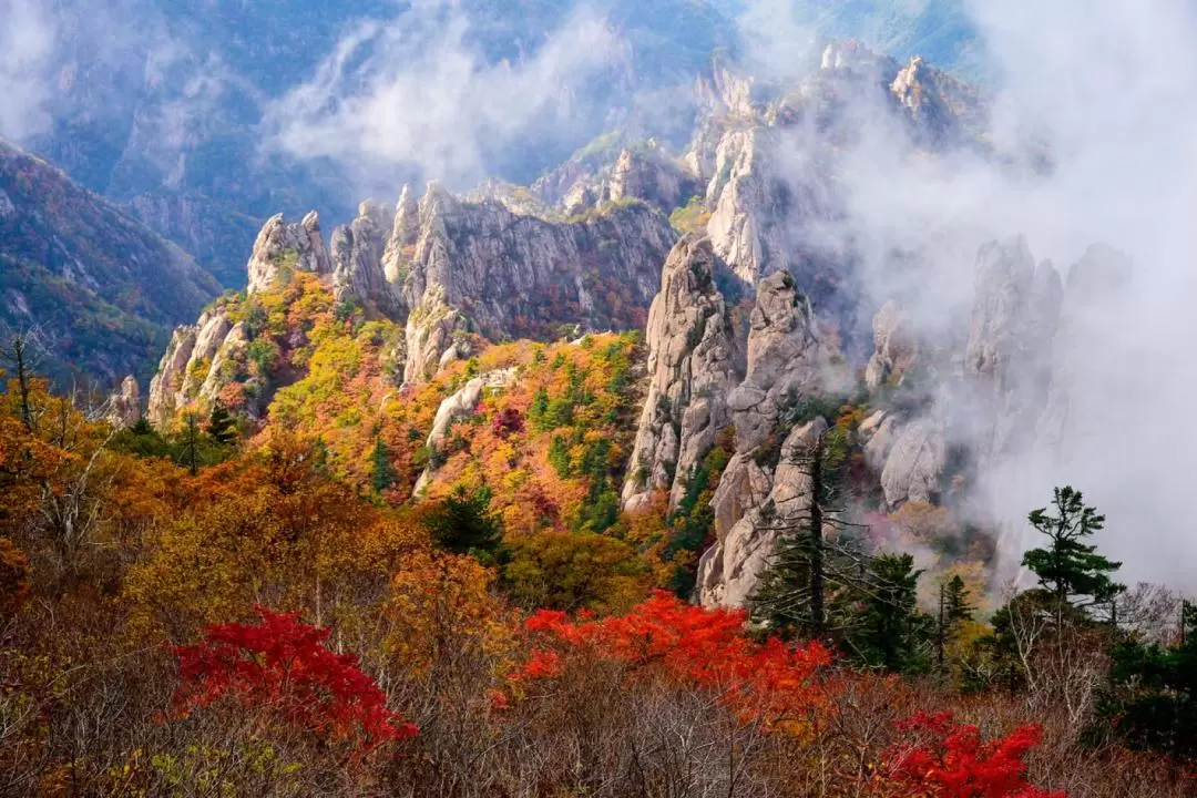 雪岳山・洛山寺 日帰りツアー（ソウル発）