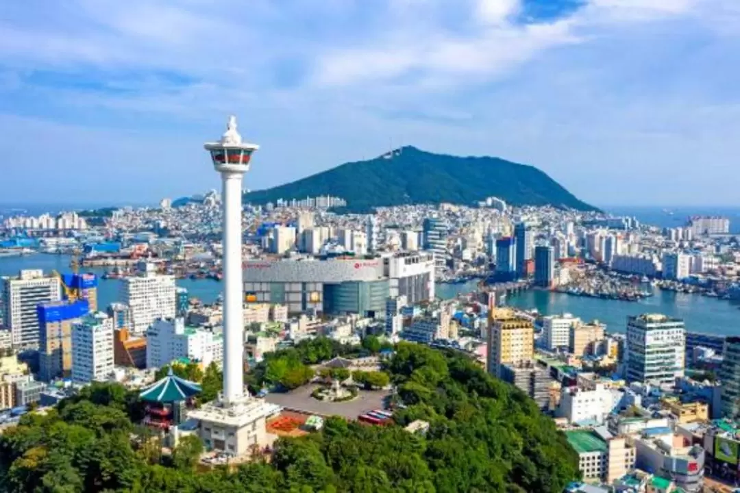 Busan / Gyeongju Vehicle Charter with Driver