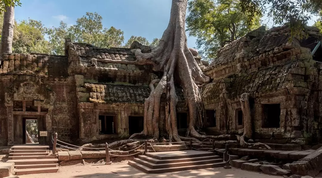 Angkor Wat Sunset Tour