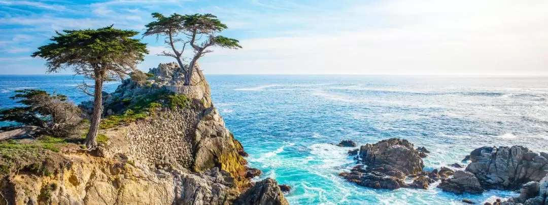 Monterey, Carmel and the 17-Mile Drive Day Tour from San Francisco