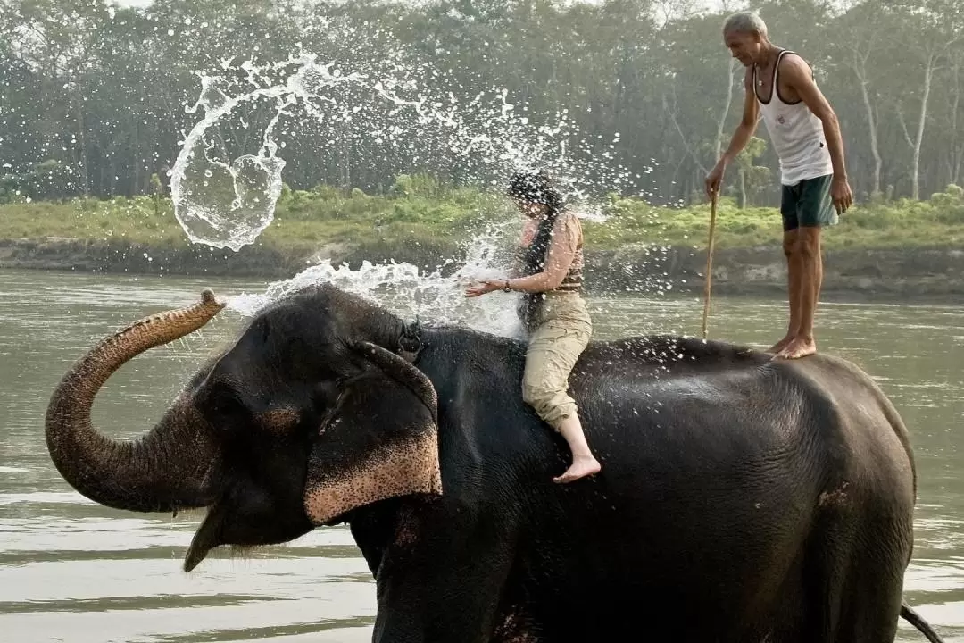 3D2N Chitwan National Park Tour from Kathmandu