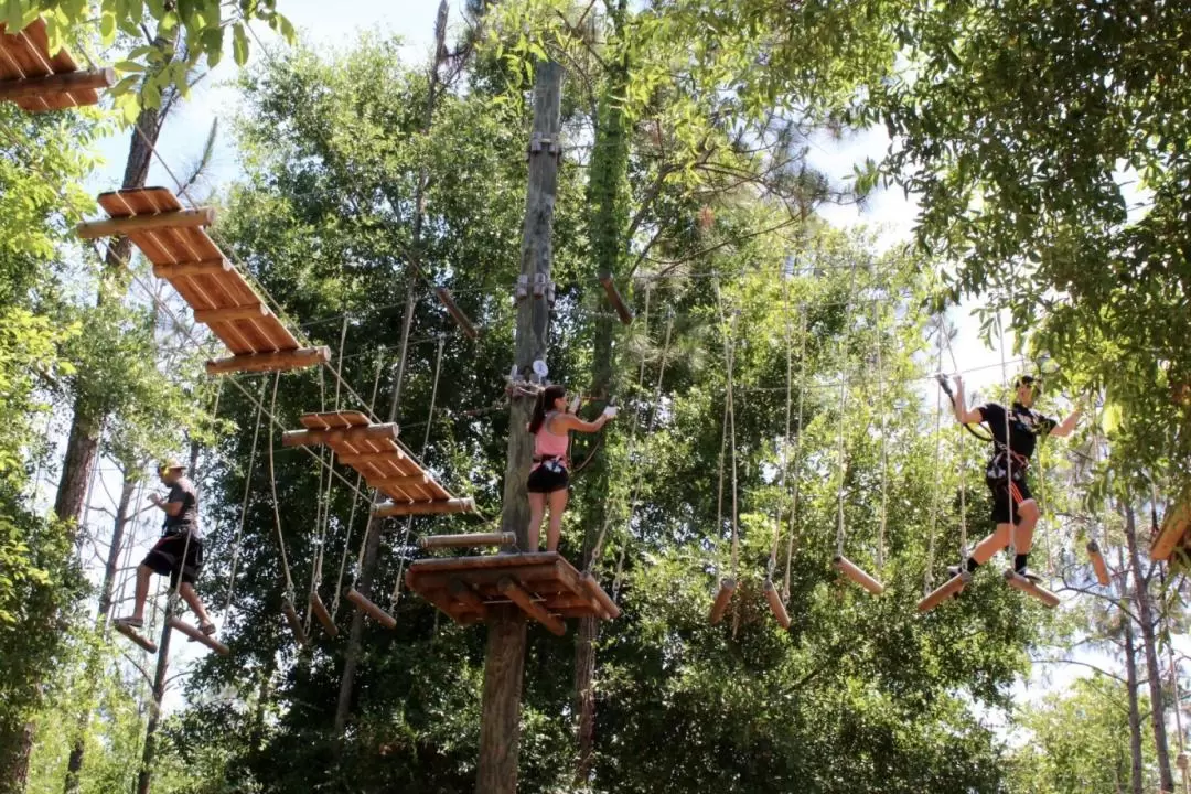 Orlando Tree Trek Adventure Park Admission Ticket