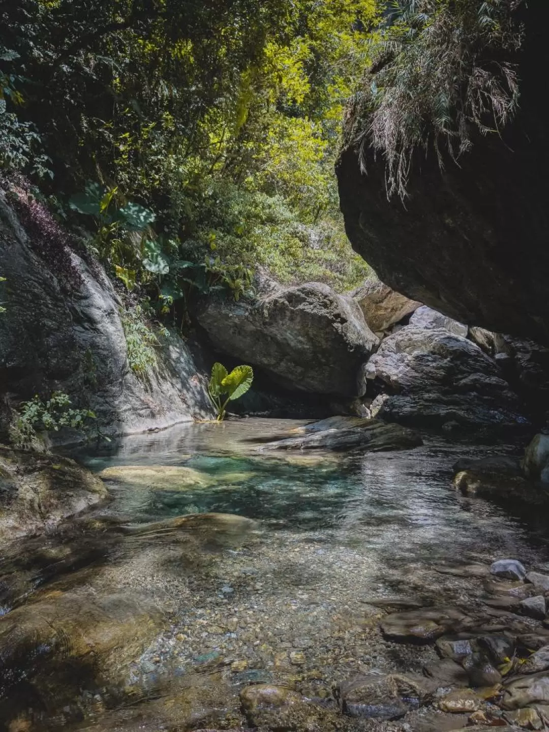 Stream Climbing in Hualien by Reverse