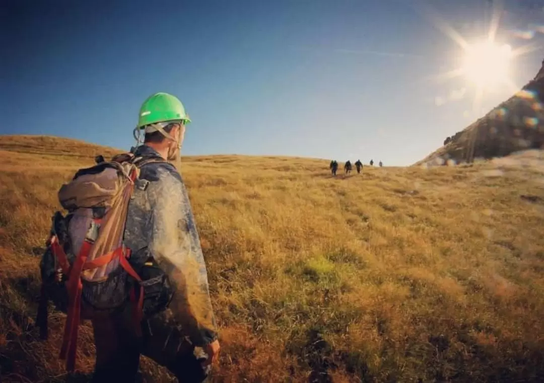 Raglan Rock Caving Pioneer Tour