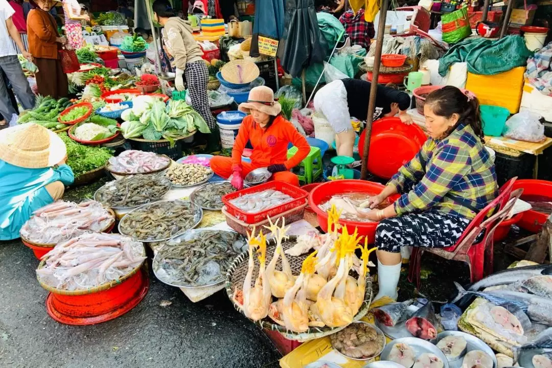 Visit An Bang, the City of Ghosts by Private Car from Hue