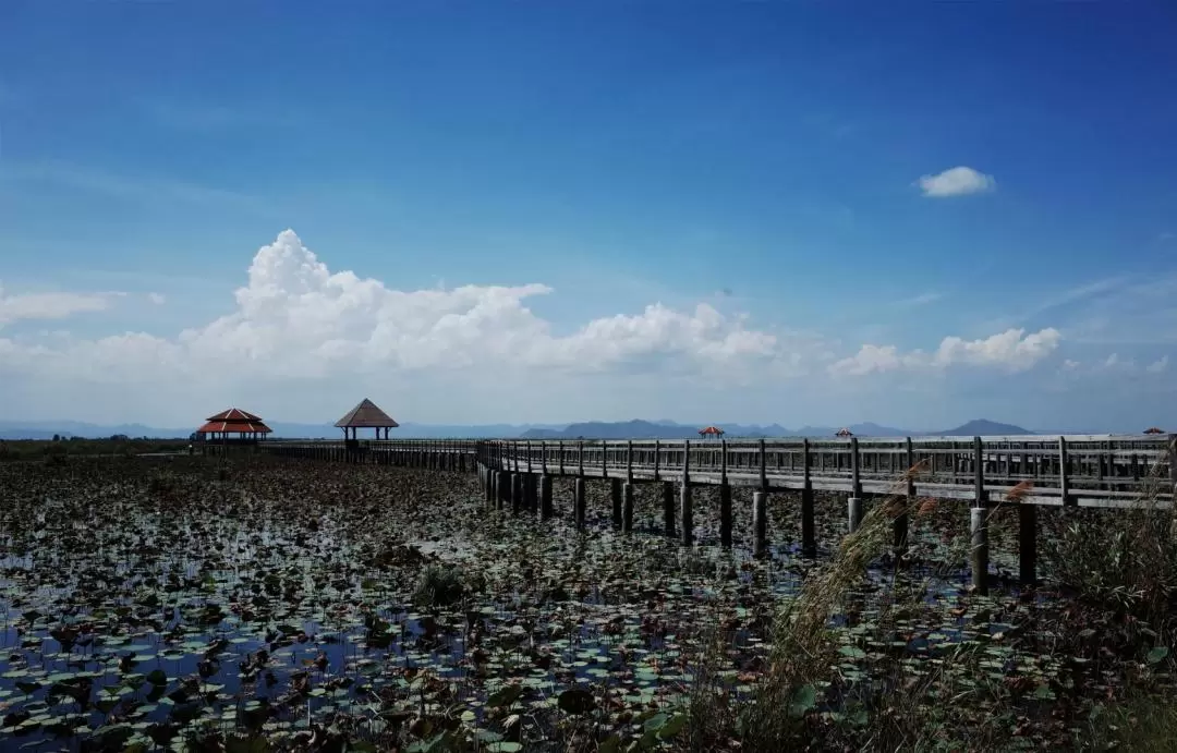 三百峰國家公園（Khao Sam Roi Yot）定製之旅（華欣出發）