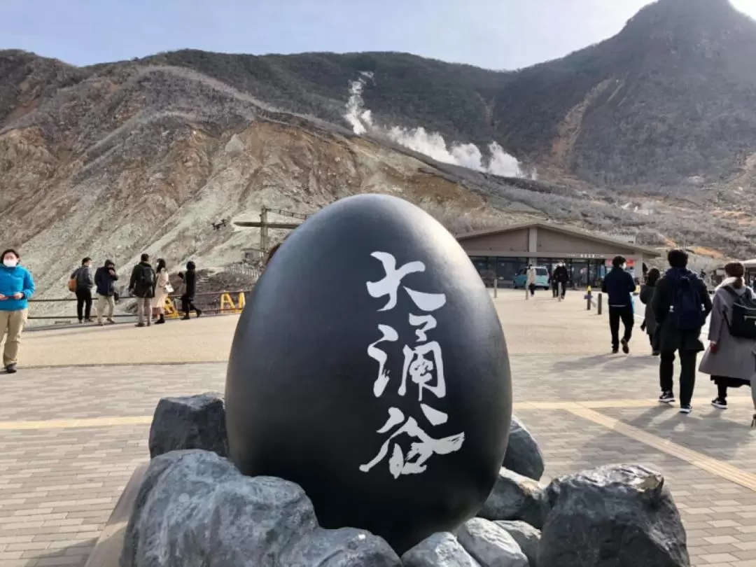 Hakone one-day tour by chartered car (from Tokyo)