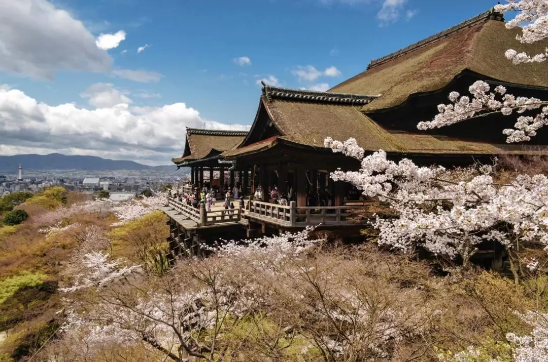 Fushimi Inari-taisha, Arashiyama, Kiyomizu-dera day tour from Osaka 