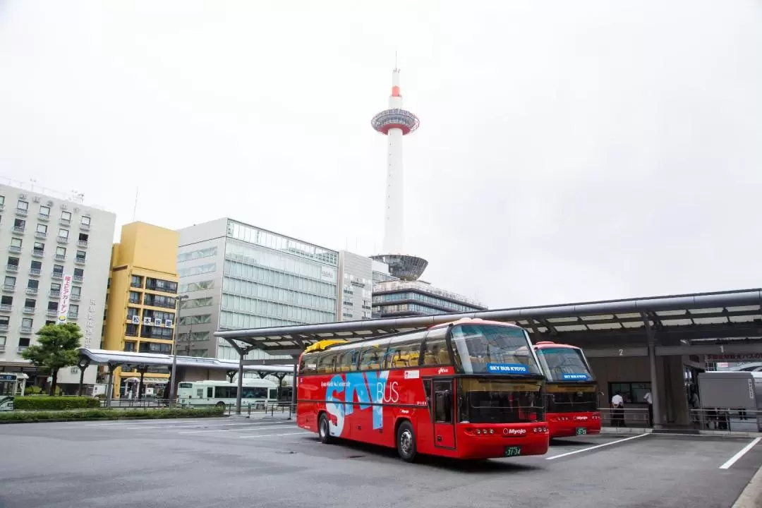 Kyoto Hop-On Hop-off sightseeing bus by Skyhop Bus (1day / 2days ticket)