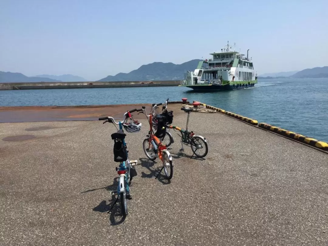 Rabbit Island and Cycling Experience in Hiroshima