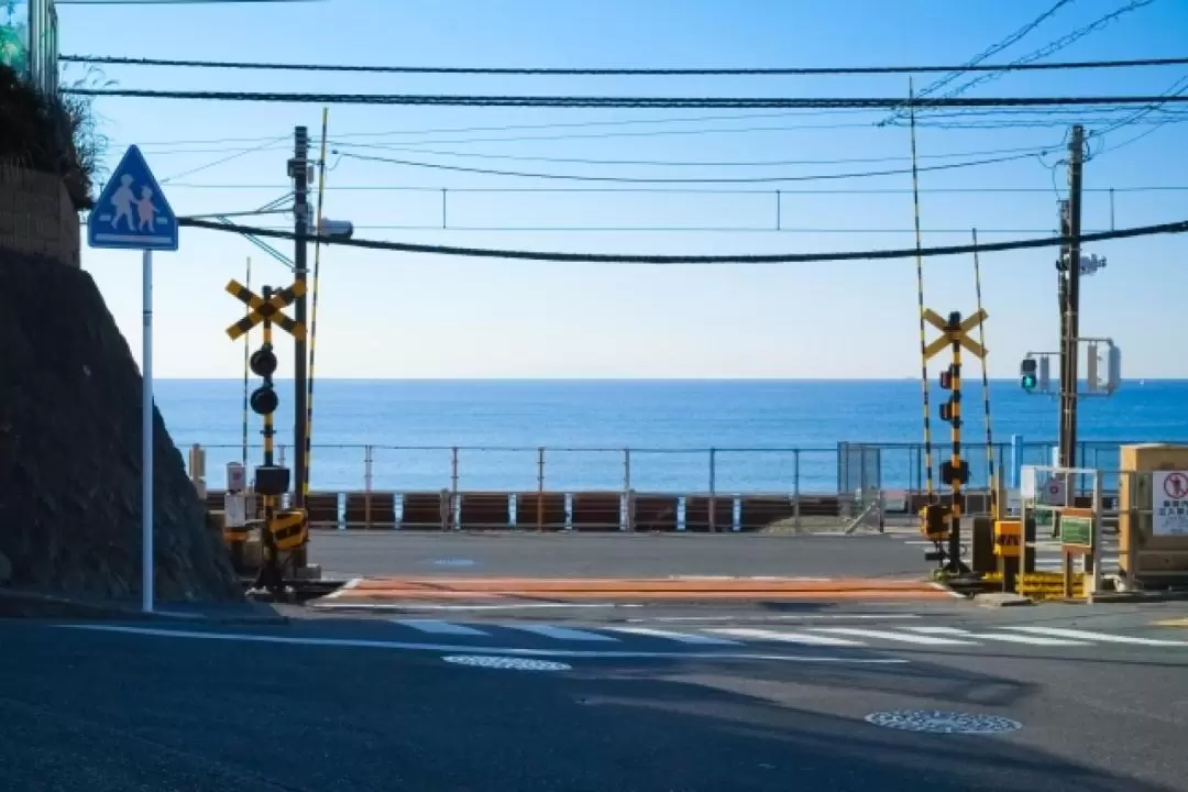 Basketball Anime Pilgrimage One Day Walking Tour in Kamakura