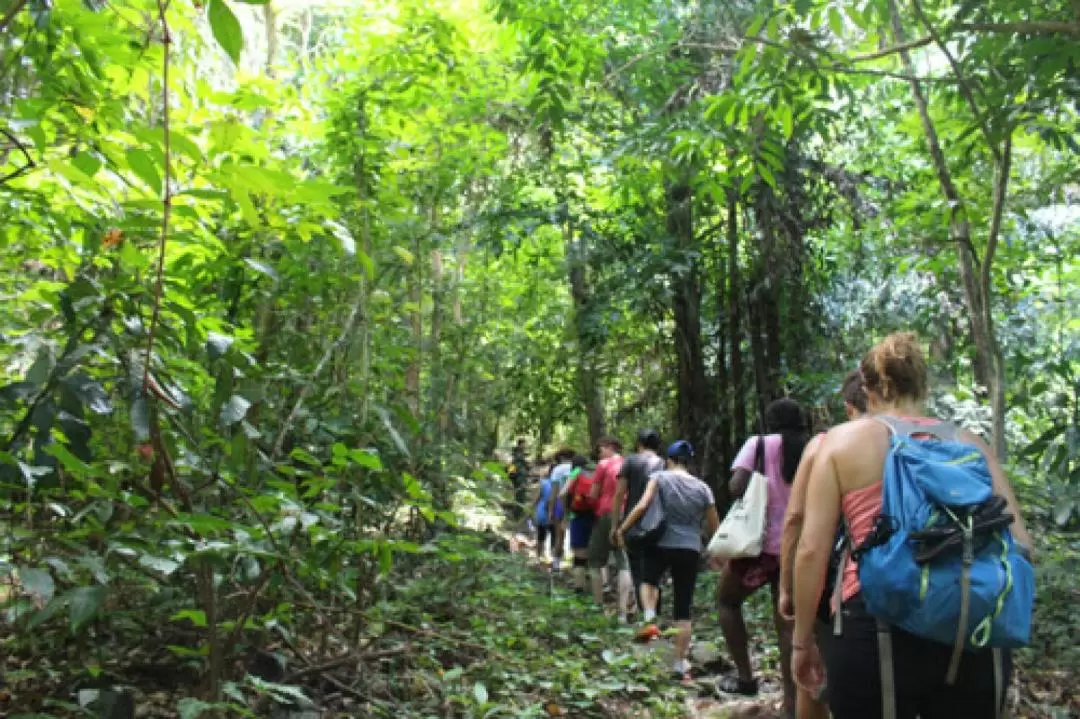 Hiking Experience Tour in Con Dao National Park