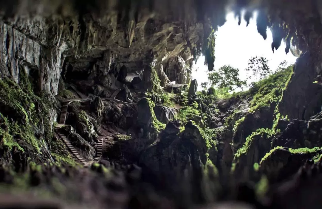 Caving and Semenggoh Wildlife Centre or Annah Rais Longhouse Tour in Kuching