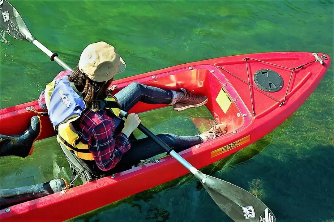 北海道支笏湖透明皮划艇體驗