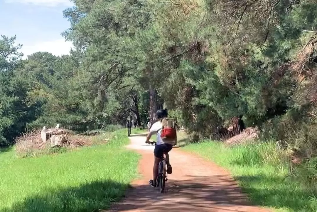 紅山鐵路步道自行車騎行＆野餐一日遊