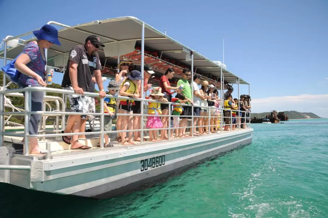 Scuba Diving Experience in Moreton Island