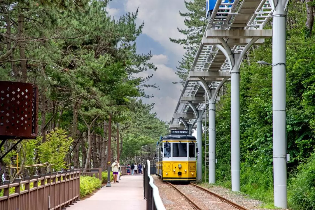 海岸列車・エックスザスカイ展望台 日帰りツアー（釜山）