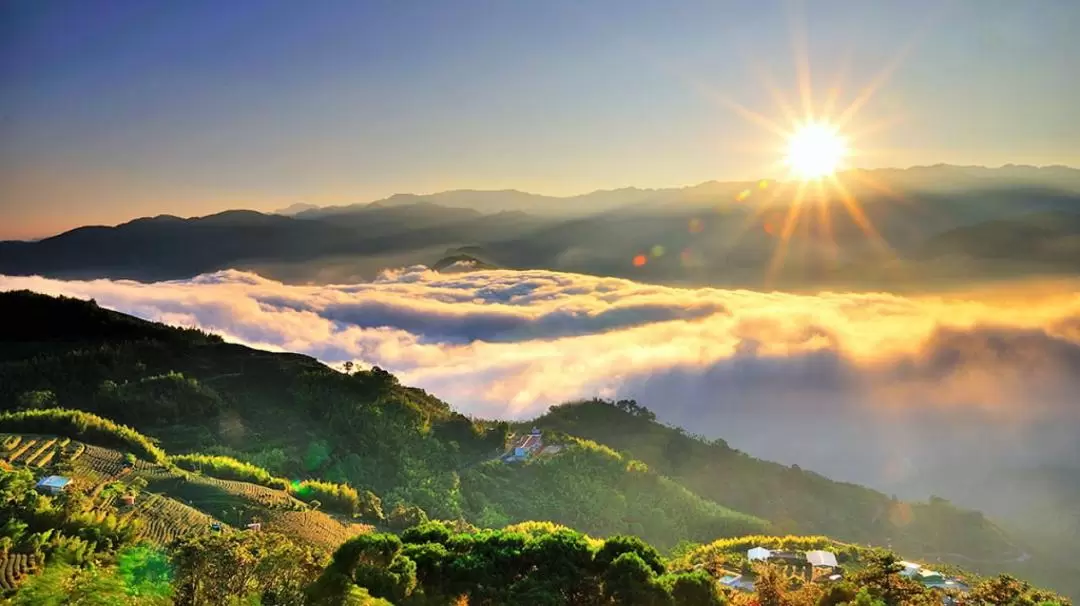 Alishan Day Tour from Taichung, Chiayi, or Kaohsiung