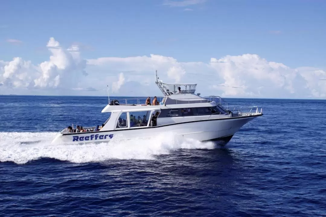 Okinawa Private Boat Charter by Cerulean Blue