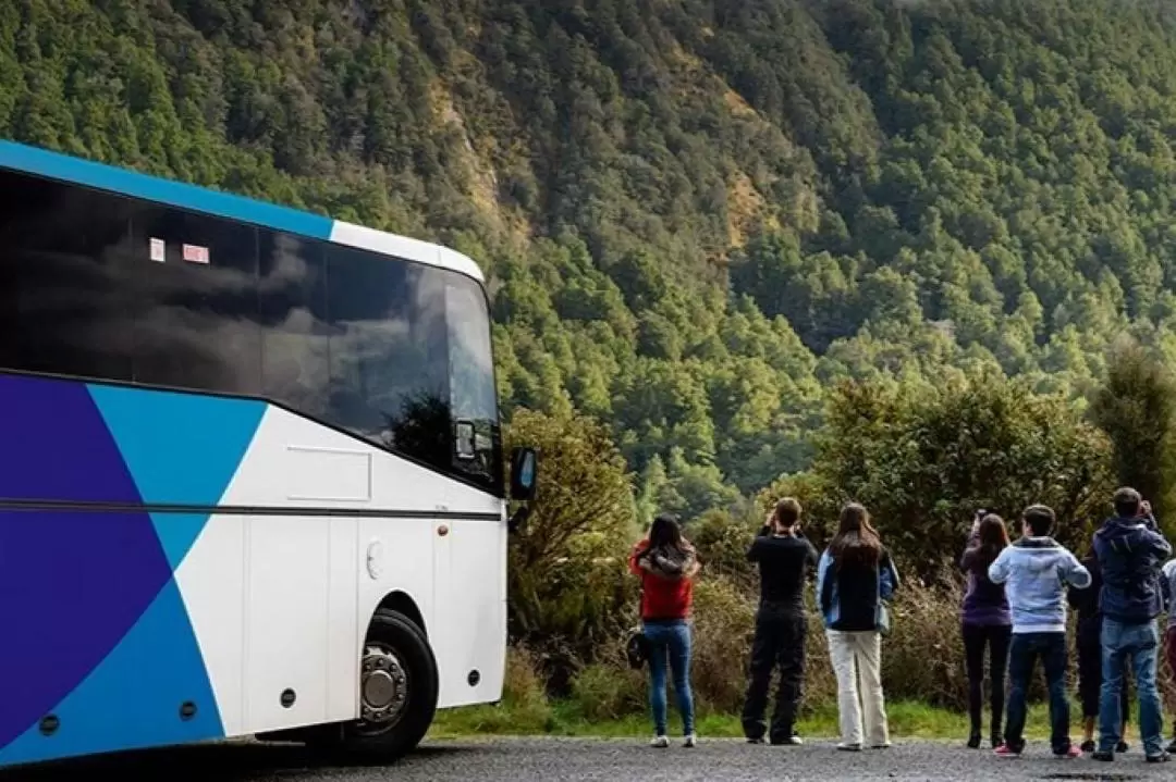 Milford Sound Day Tour from Queenstown or Te Anau by GreatSight