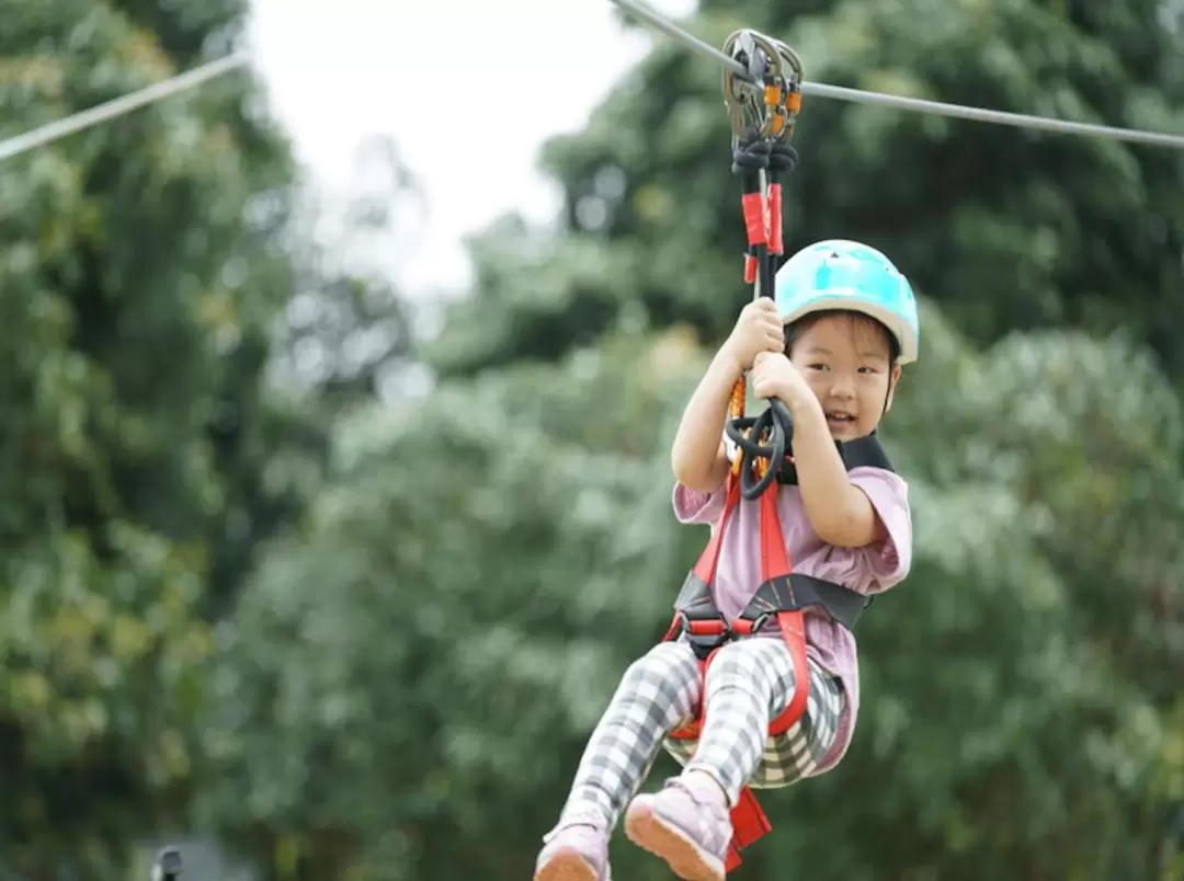 Zipline at Tarzan Adventure Pattaya