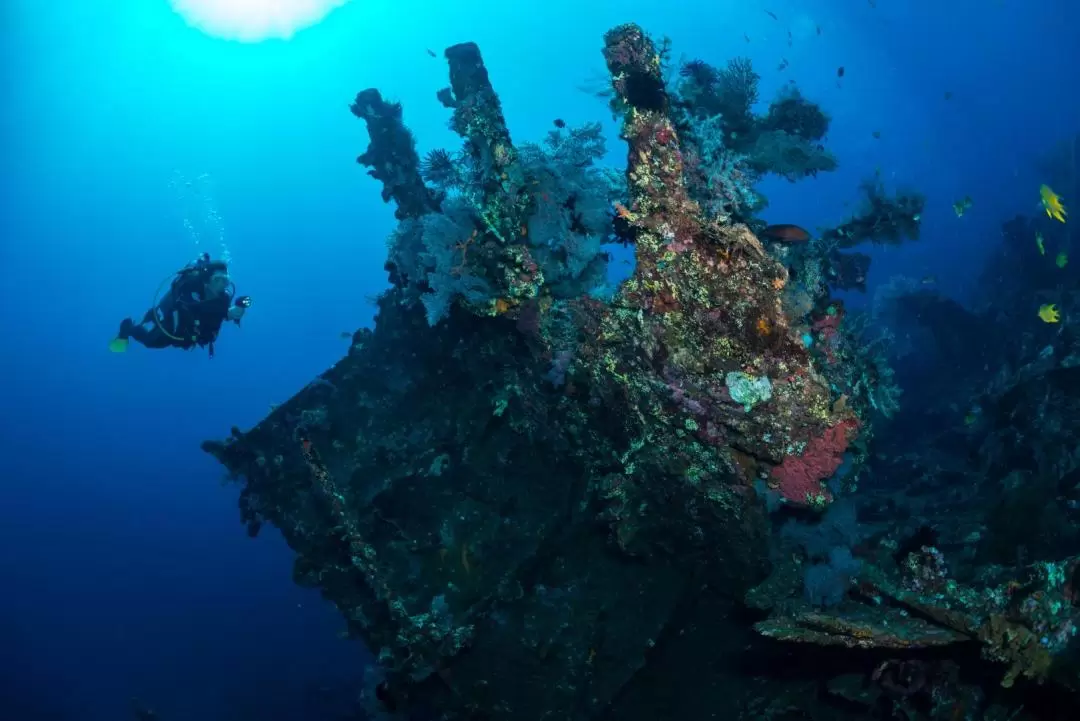 Tulamben Wreck Diving Day Trip by Bali Hai Cruise