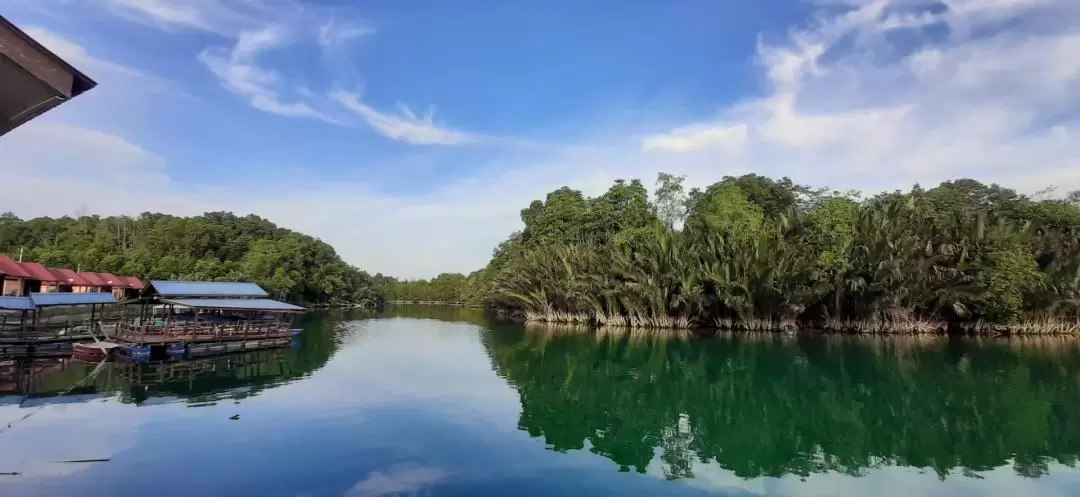 迪沙魯Sedili Kecil濕地 & 遊船巡航體驗（含接送）