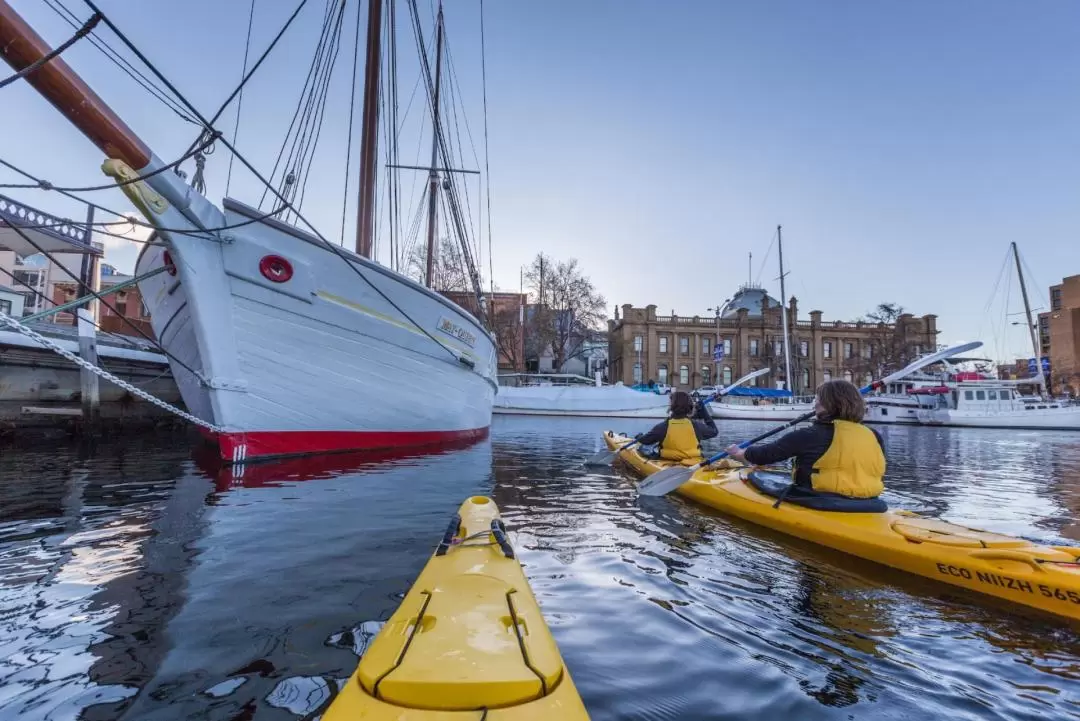 Hobart City Kayaking Tour	