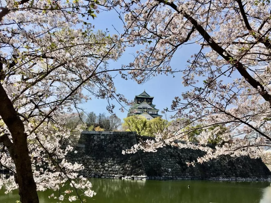 Osaka Castle Half-Day Private Guided Tour