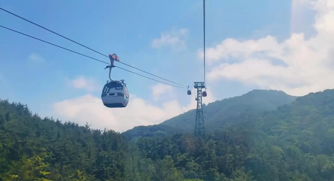 統營一日遊（含纜車）- 釜山出發