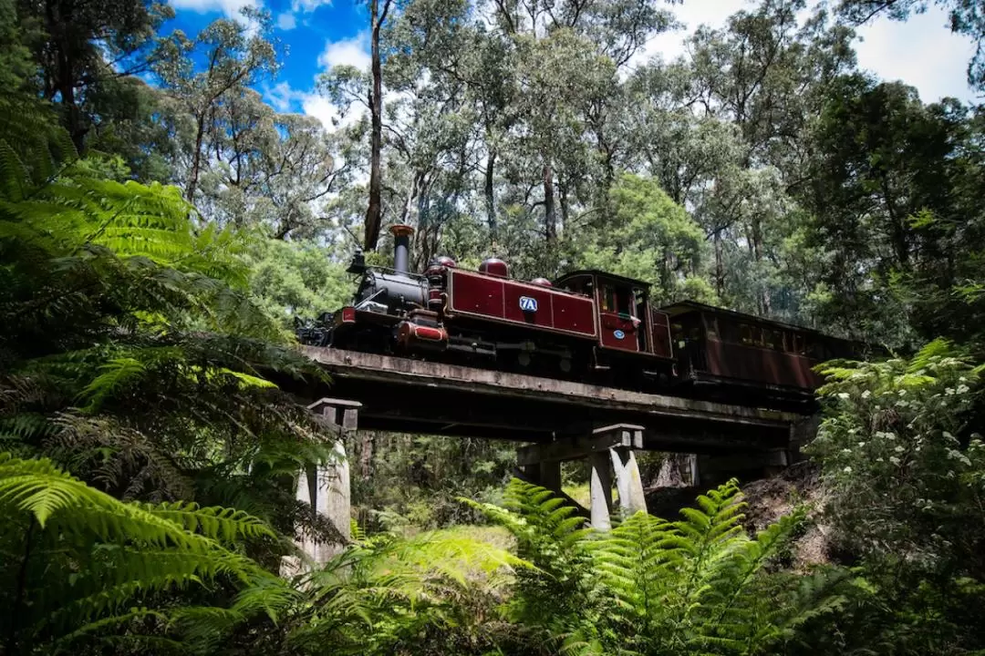 Puffing Billy Railway Ticket or Bus Tour