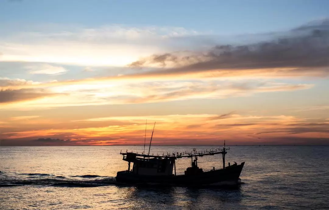 Sunset and Nigh Squid Fishing Boat Trip