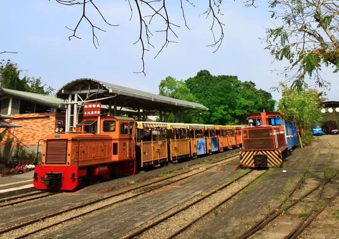 嘉義蒜頭糖廠五分車乘車券（贈古早味冰棒一支）