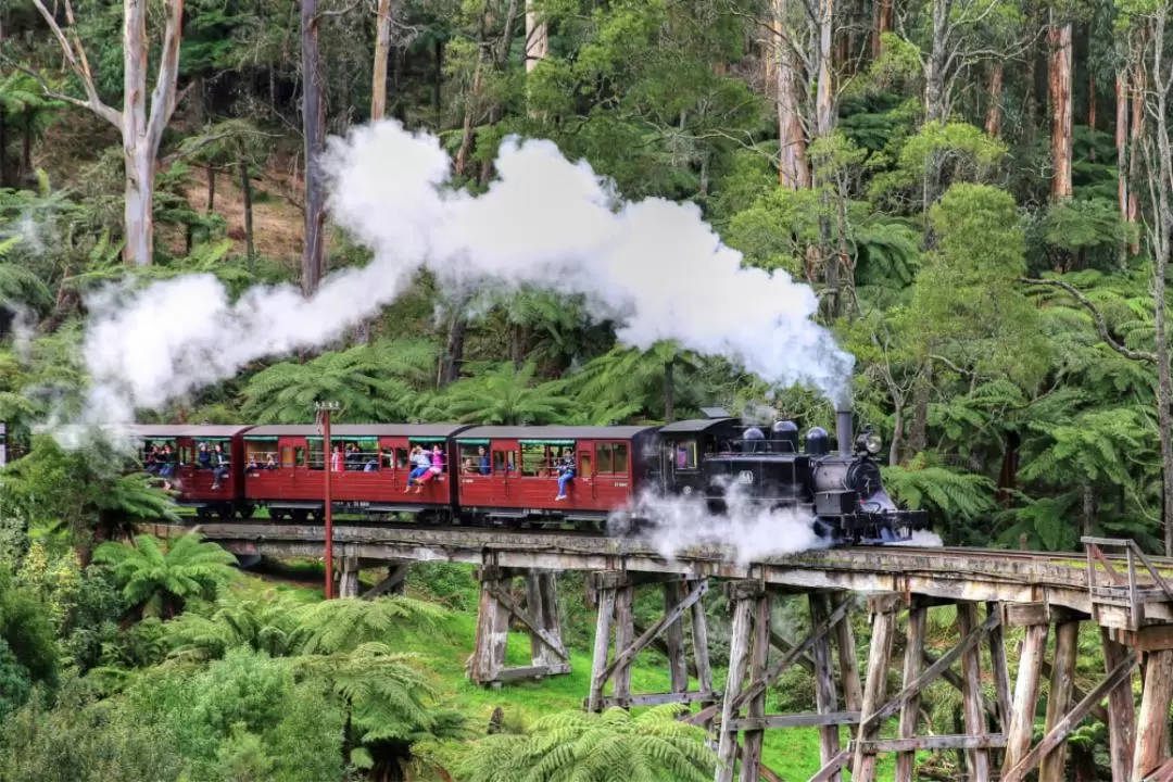 Puffing Billy and Healesville Sanctuary Scenic Tour